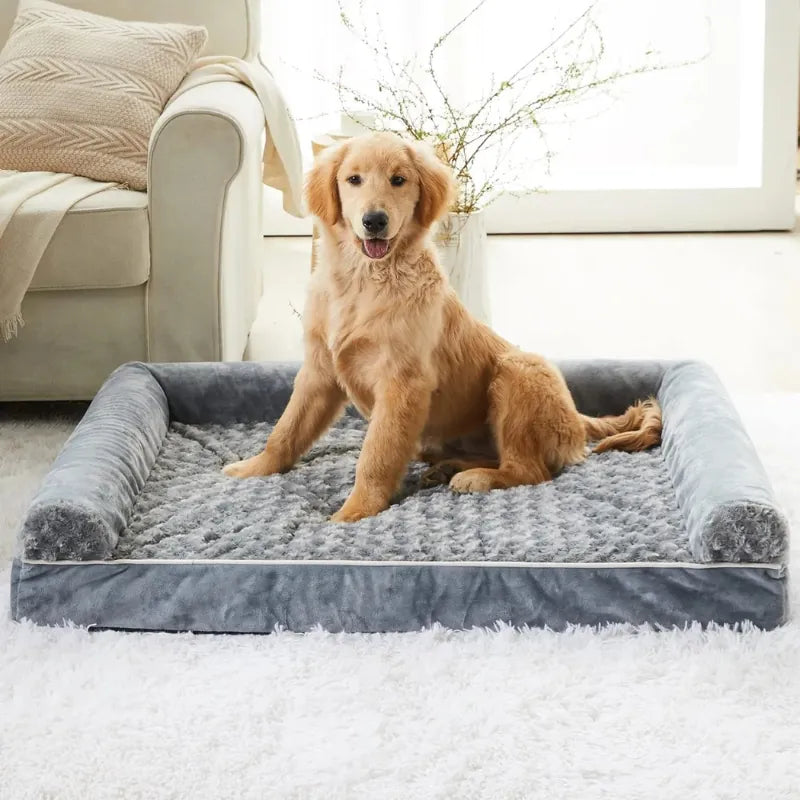 Chien assis sur un coussin ergonomique chien L gris, matelas à mémoire de forme doux et stable pour chien de taille moyenne.
