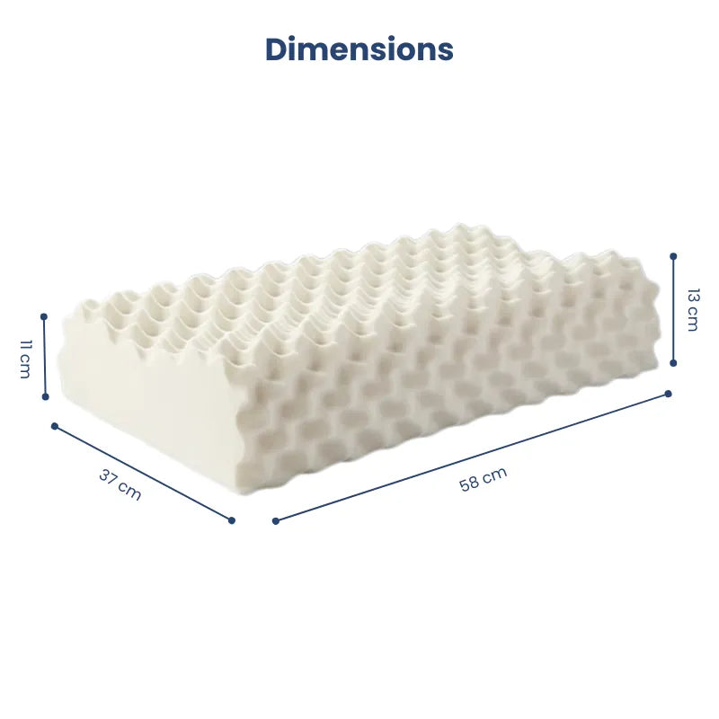 Vue des dimensions de l’oreiller ergonomique en latex naturel format massage, indiquant la largeur, la longueur et la hauteur