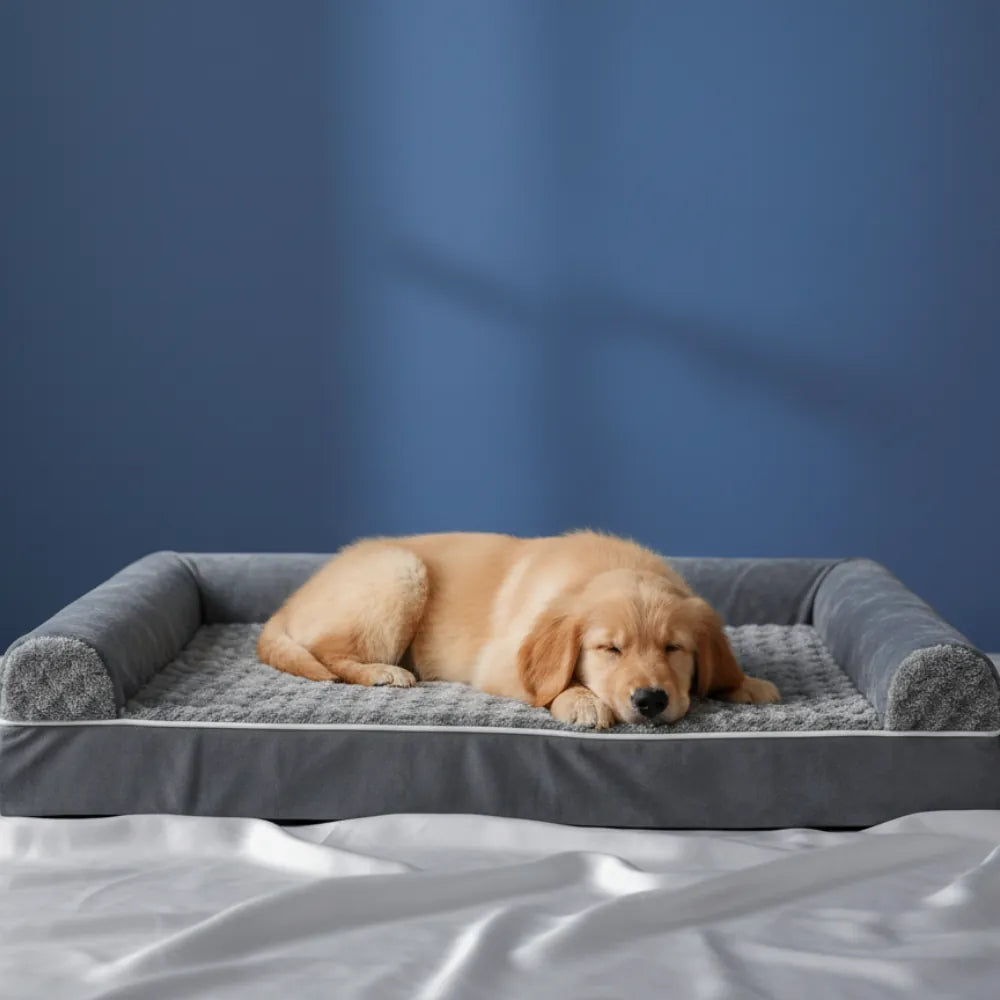 Coussin à mémoire de forme pour chien — couchage ergonomique confortable avec rebords, idéal pour le repos des animaux, présenté sur un drap satiné gris perle devant un mur bleu profond.