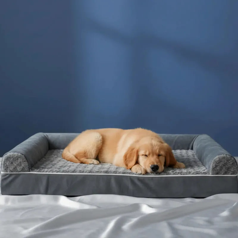Chien allongé sur un grand coussin mémoire de forme pour chien gris taille XL, matelas orthopédique ergonomique pour grand chien, fond bleu profond