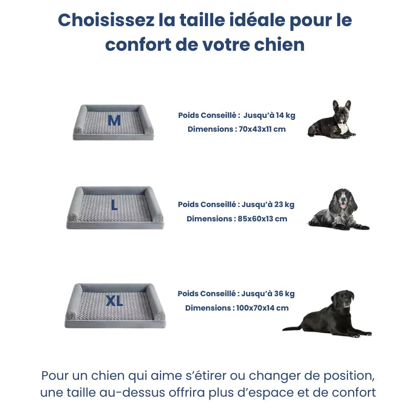 Guide tailles coussin ergonomique chien XL, 100x70x14 cm, idéal pour chiens jusqu’à 36 kg.